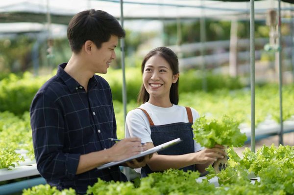 Unlocking the Benefits of Hydroponic Gardening: A Guide to Growing Fresh Herbs in Urban UK Homes